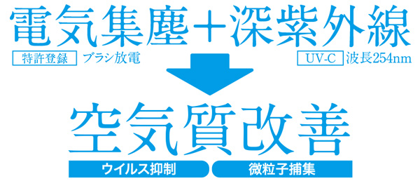 ��C�����P